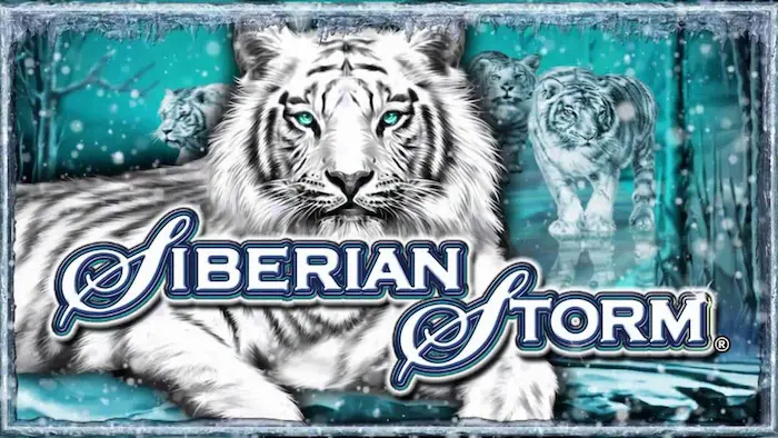 siberian-storm-aus.com banner
